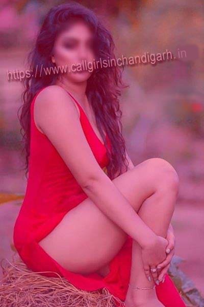 Ambala Escort Payal
